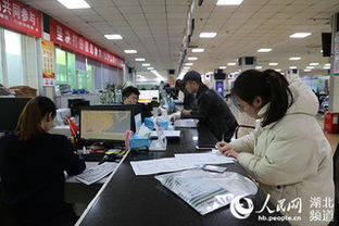 審批時間壓縮60% 武漢臨空港經(jīng)開區(qū)工業(yè)建設項目“批前提速”促發(fā)展